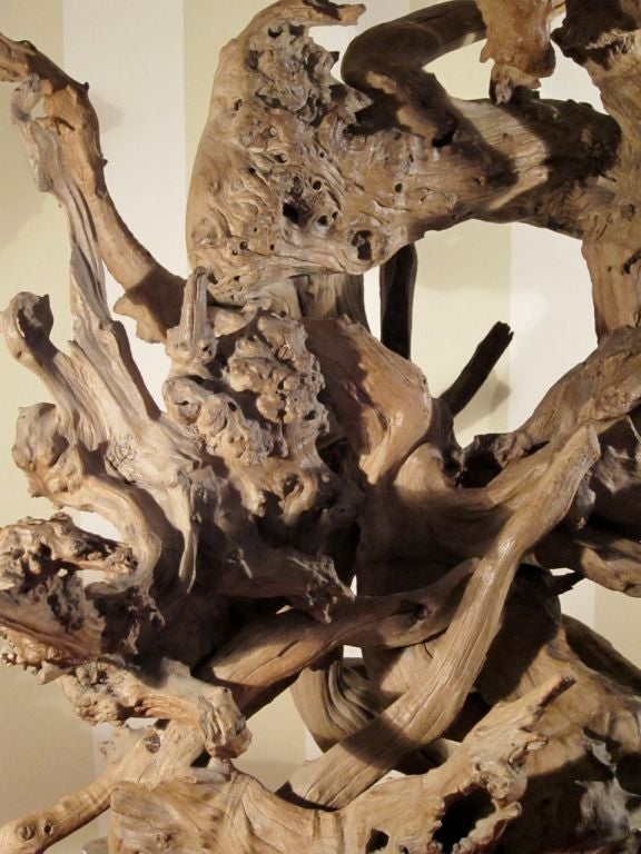 Mid-20th Century Very Large Driftwood Lamp with Original Rattan shade