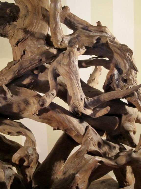 Very Large Driftwood Lamp with Original Rattan shade 1