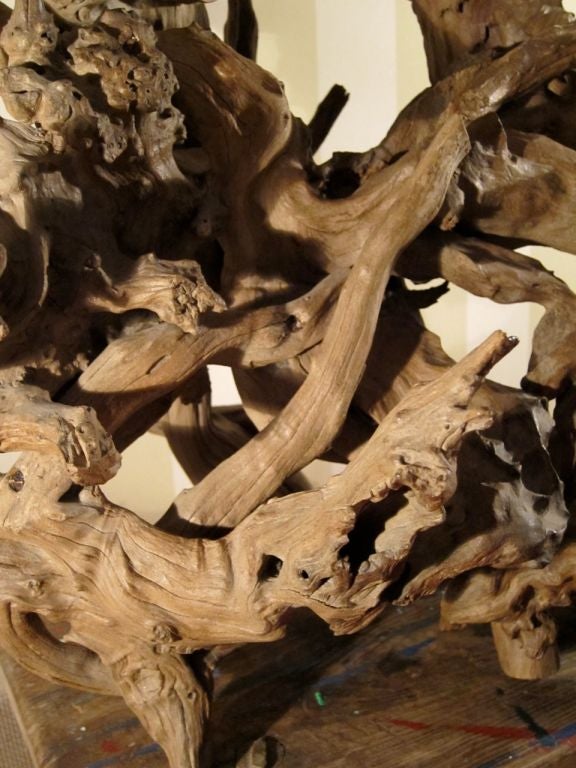 Very Large Driftwood Lamp with Original Rattan shade 3