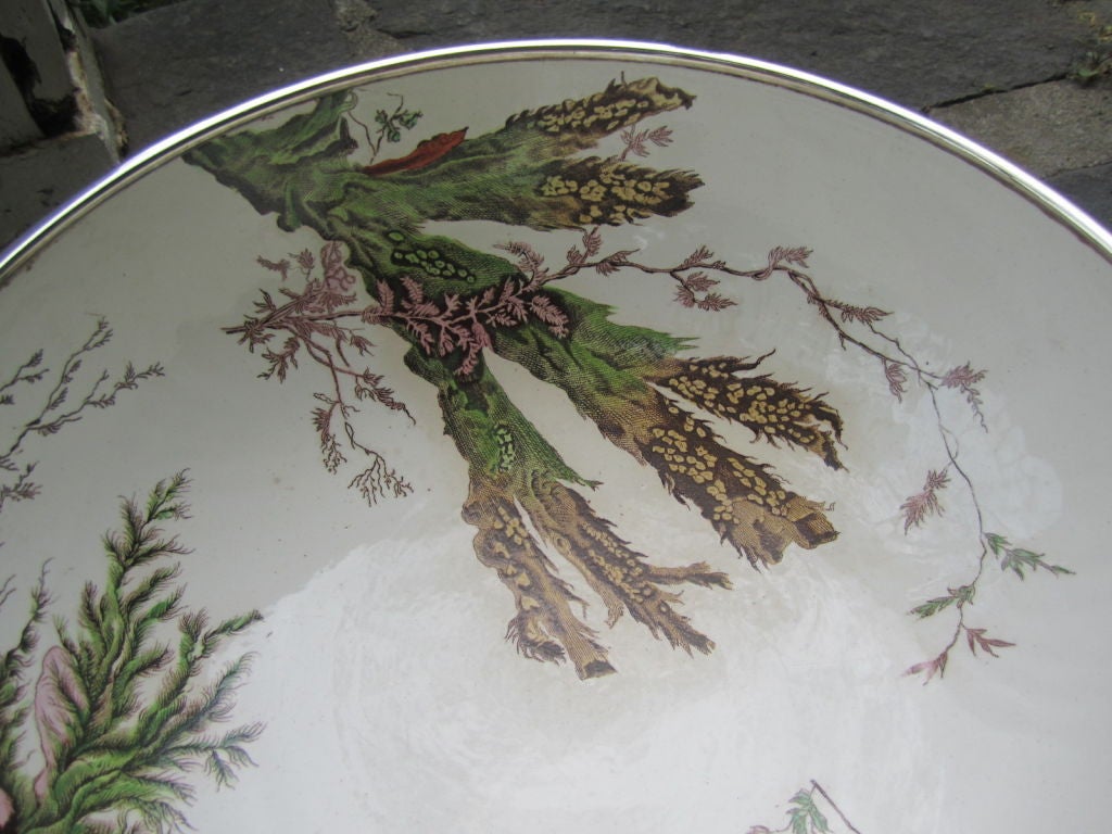 Wedgwood Lobster Bowl with Pair of Claw Servers 1