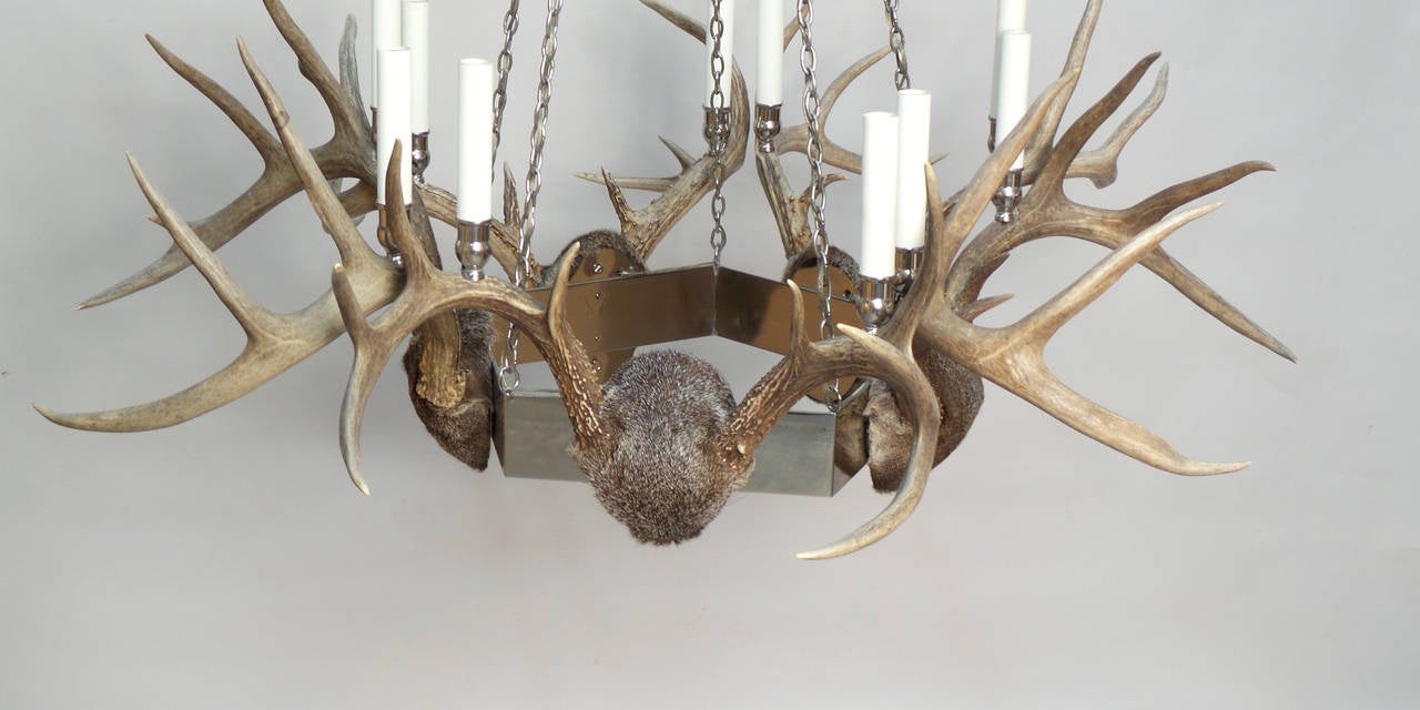20th Century Antler and Chrome Chandelier For Sale