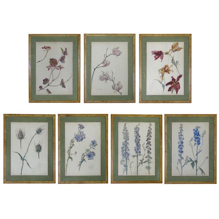 Rare Set of Floral Watercolors by Accard For Sale