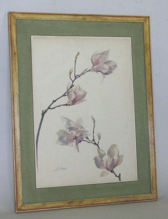 A rare set of seven large framed water colors of various floral studies, all with an exceptional use of color, all signed B. Accard and four dated June and August, 1915. Bernadette Accard, French artist, active circa 1890-1920.