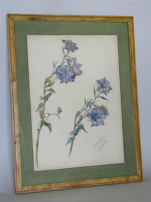 20th Century Rare Set of Floral Watercolors by Accard For Sale