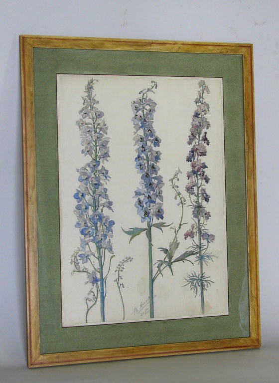 Paper Rare Set of Floral Watercolors by Accard For Sale