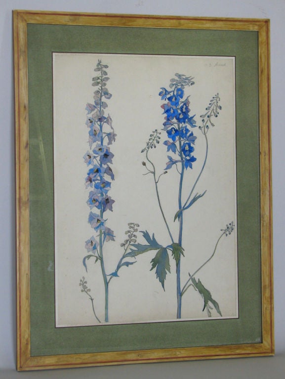 Rare Set of Floral Watercolors by Accard For Sale 1