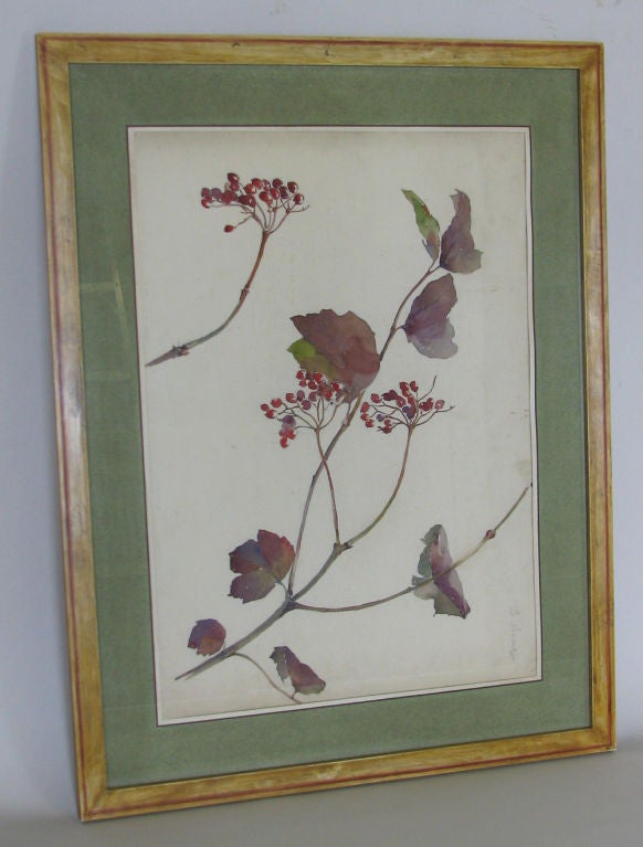Rare Set of Floral Watercolors by Accard For Sale 2