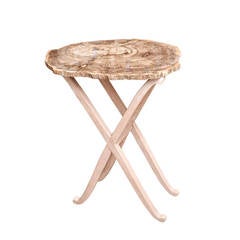Petrified Wood Top Table
