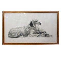 Vintage A Colored Engraving of English Setters by Leon Danchin
