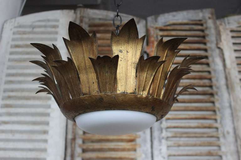 Spanish Gilt, Crown Fixture with Molded Glass