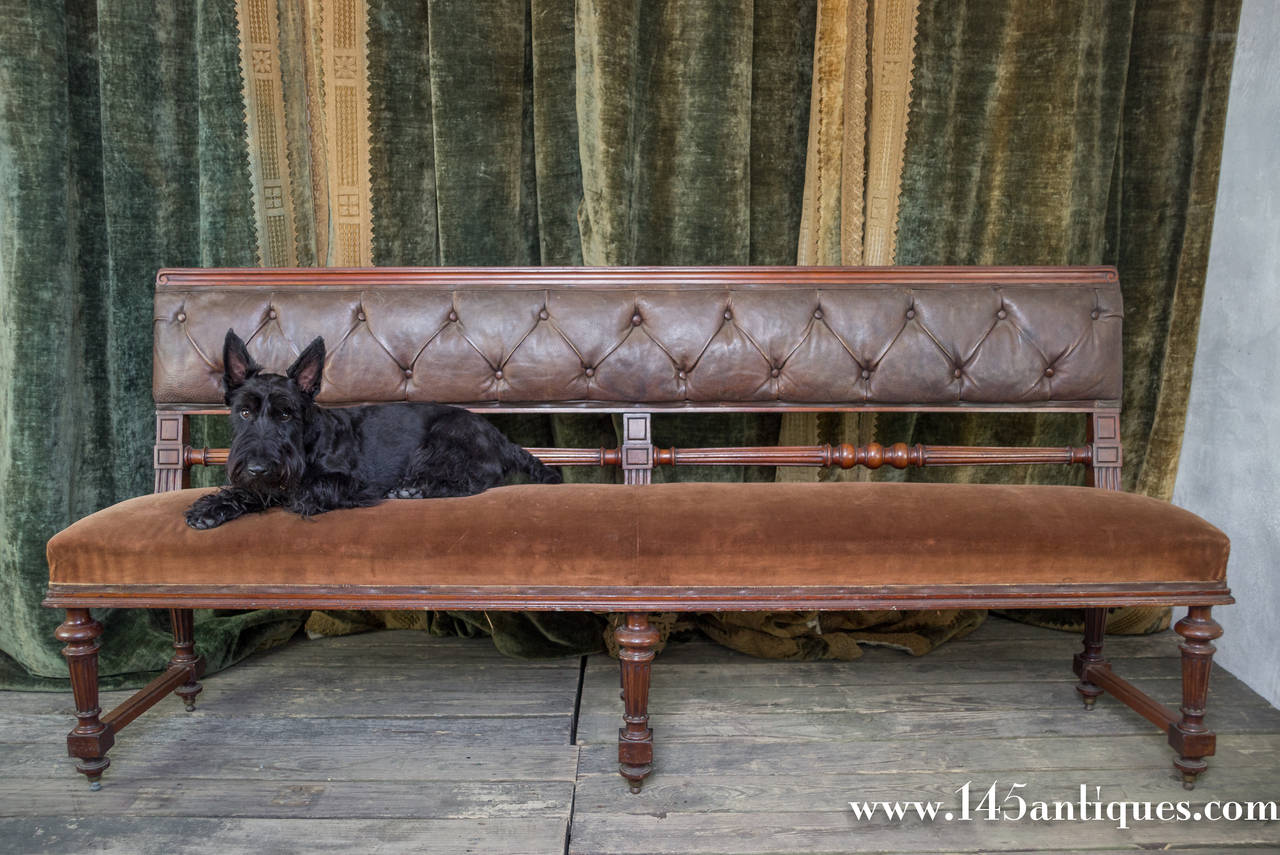 French Mahogany Bench with Velvet Seat and Leather Back For Sale at 1stdibs