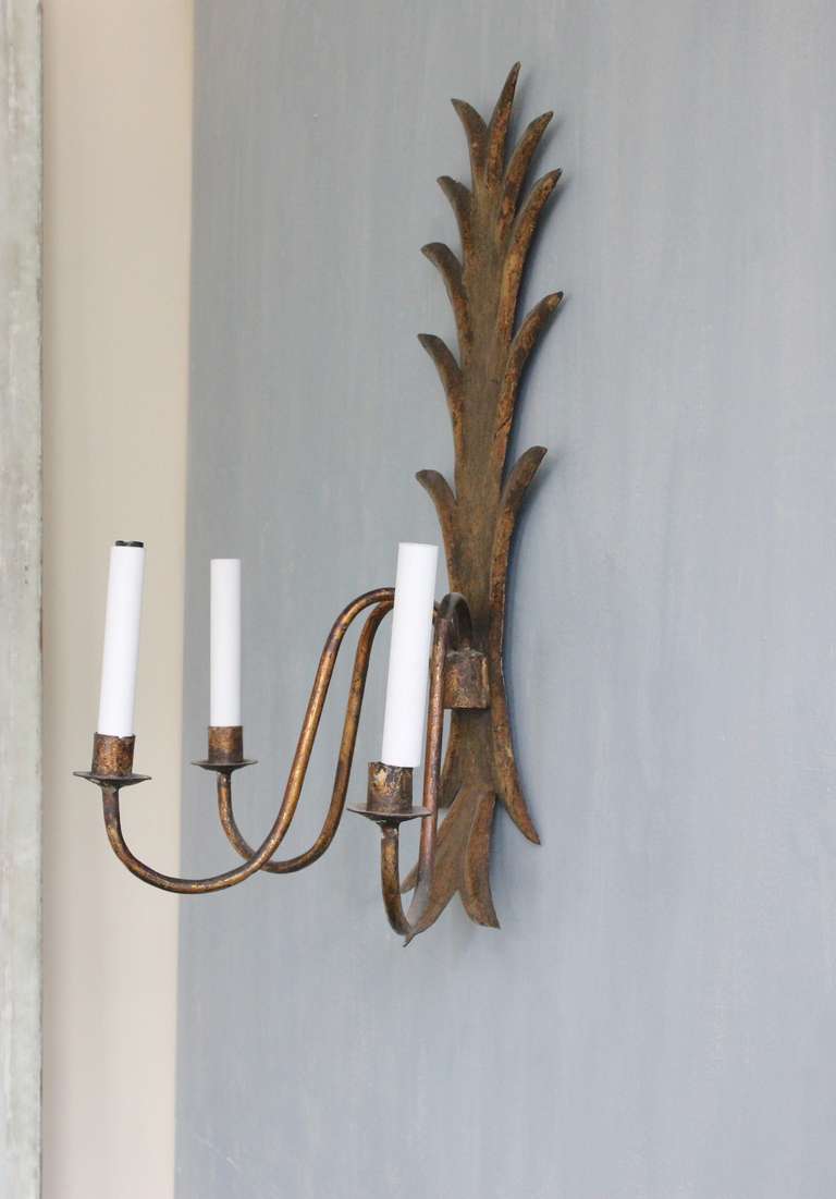 Mid-Century Modern Large 1950s Spanish Gilt Sconce For Sale