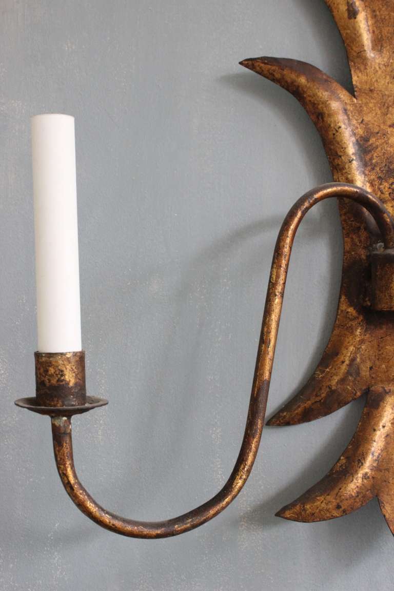 Metal Large 1950s Spanish Gilt Sconce For Sale