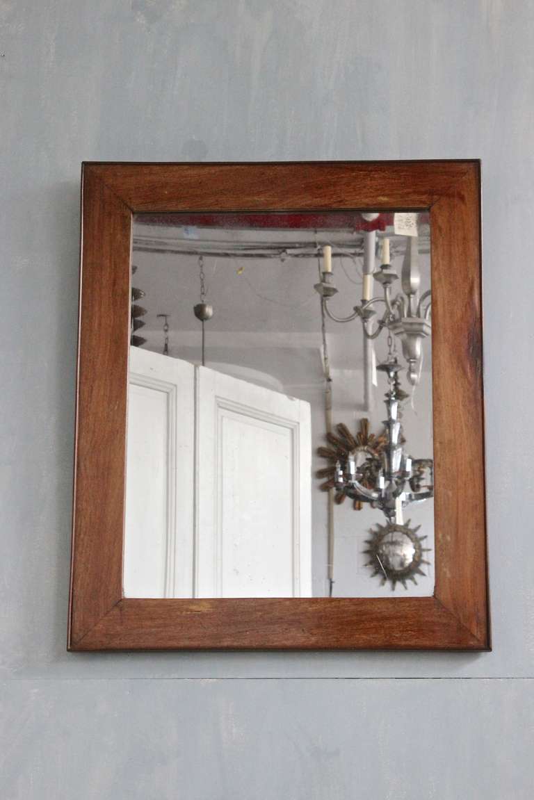 French 19th Century Mahogany Framed Mirror 1