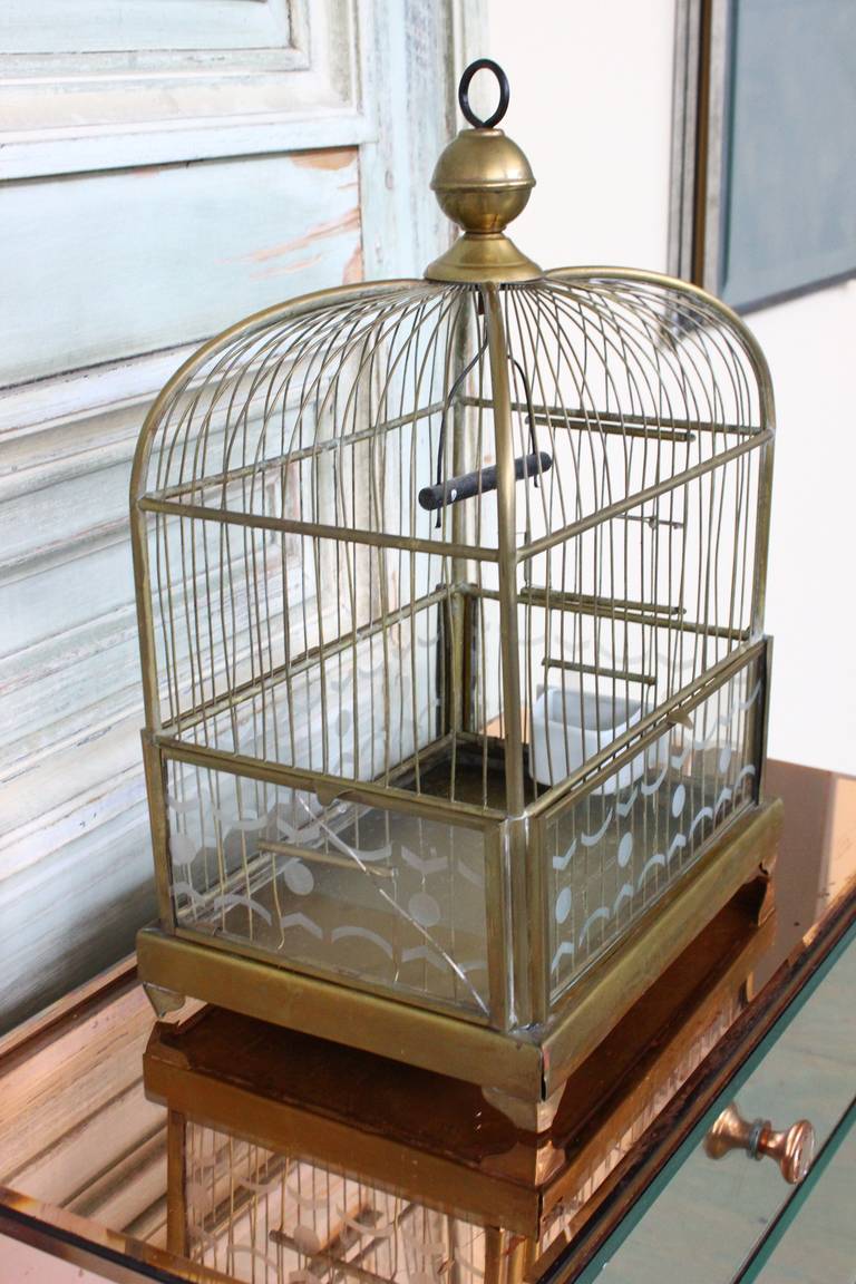 glass bird cages