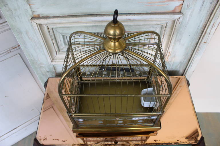American Brass Bird Cage with Etched Glass