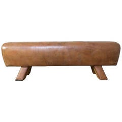 Leather and Wood Bench