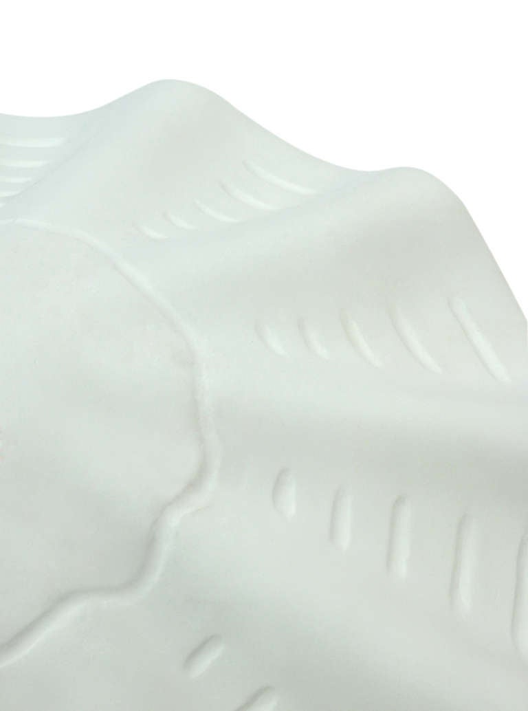 American Sea Shell Ceiling Fixture in Plaster by Sirmos