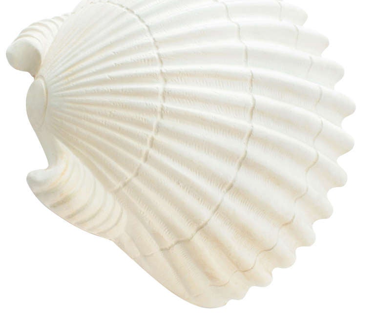 clamshell sconce