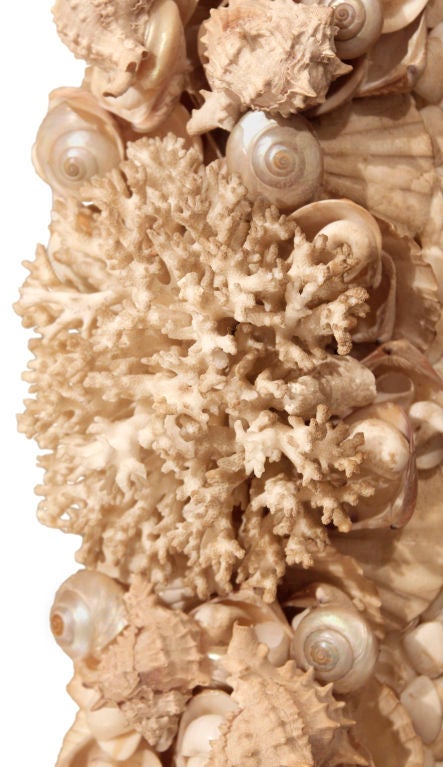 Large Mirror with Frame in Exotic Sea Shells and Corals