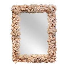 Large Mirror with Frame in Exotic Sea Shells and Corals