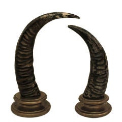 Pair of Horns Mounted on Bronze Bases Pair of Horns Mounted on Bronze Bases