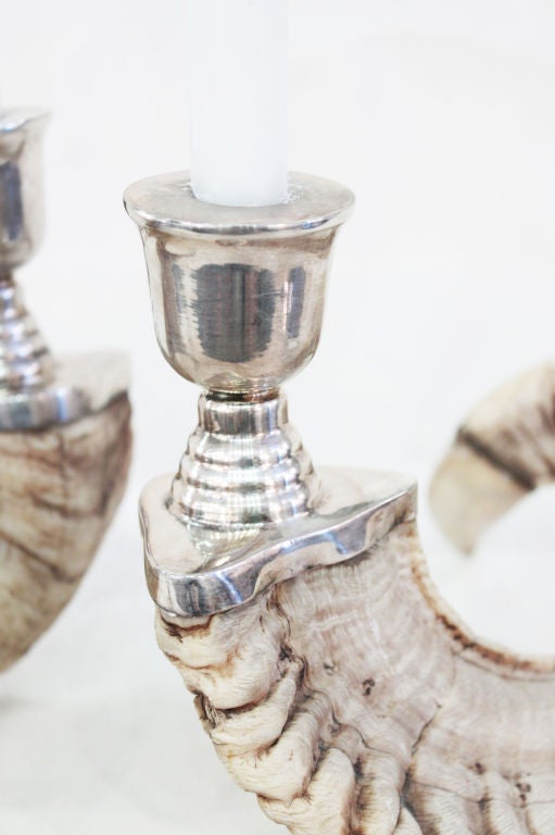 American Pair of Horn Candle Holders on Silver Bases