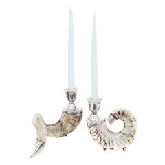 Pair of Horn Candle Holders on Silver Bases