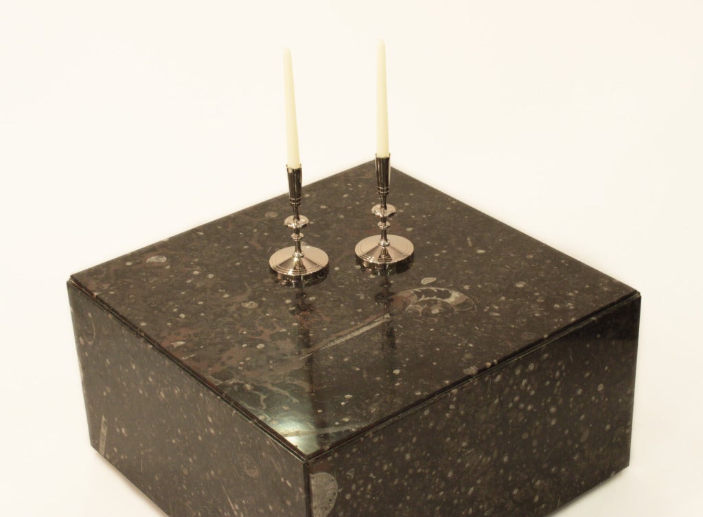 Pair of Black Fossilized Stone Coffee Tables