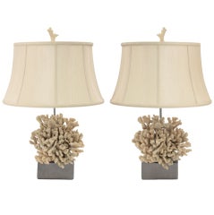Pair of Coral Table Lamps