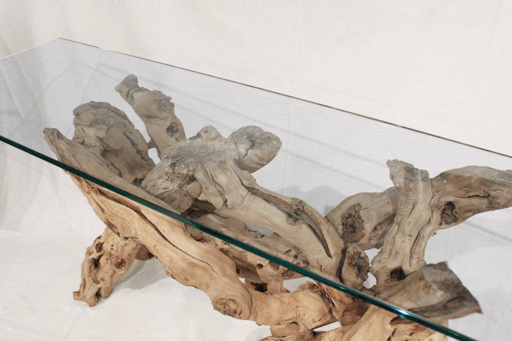 Sculptural console table in driftwood with glass top, American 1960's