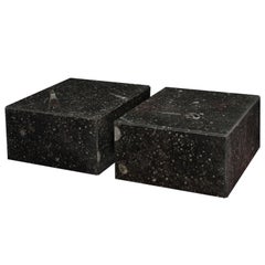 Pair of Black Fossilized Stone Coffee Tables