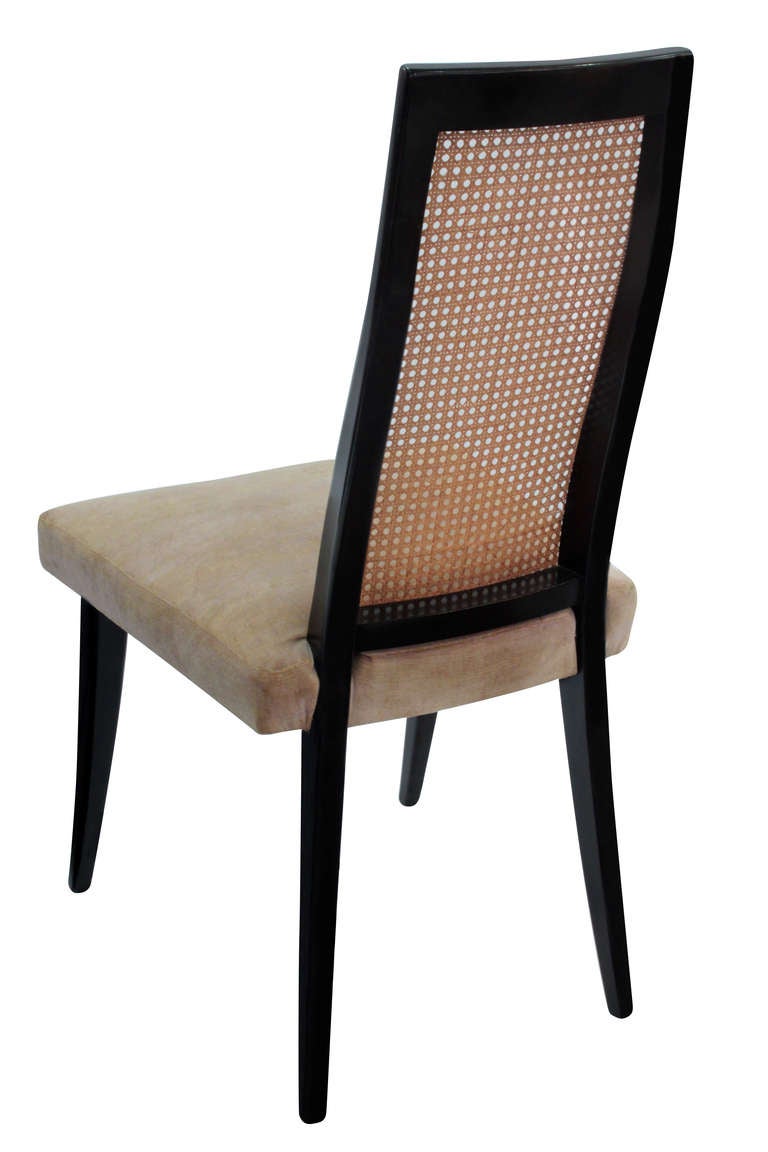 Set of 8 "Classic" Dining Chairs in Mahogany by Harvey Probber at 1stDibs