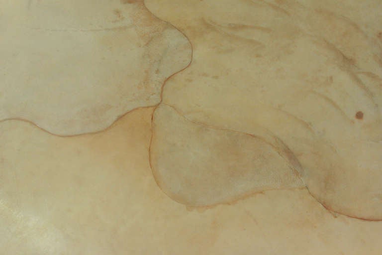 goatskin furniture