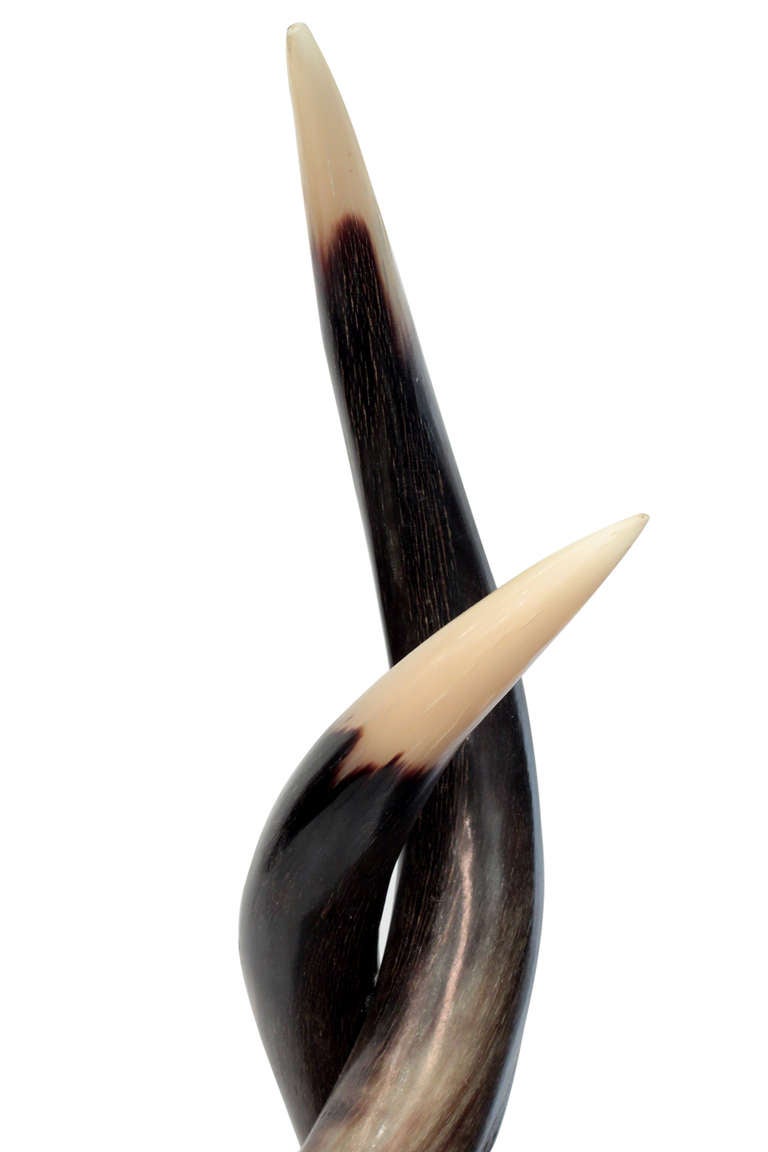 Impressive Intertwined Horn Sculpture Mounted on Thick Lucite Base