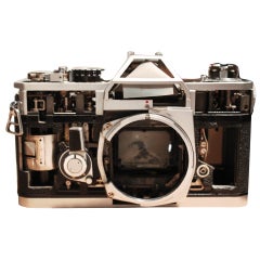 Awesome Canon Camera Cutaway 
