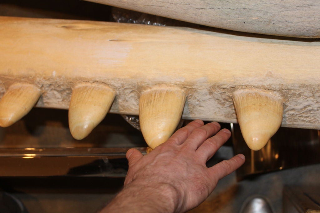 Gigantic, Monumental Whale Jaw Bones 3