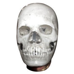 Phantom Skull in Lucite