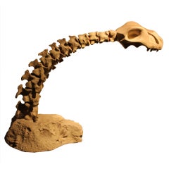 amazing articulated vertebrae Desk lamp