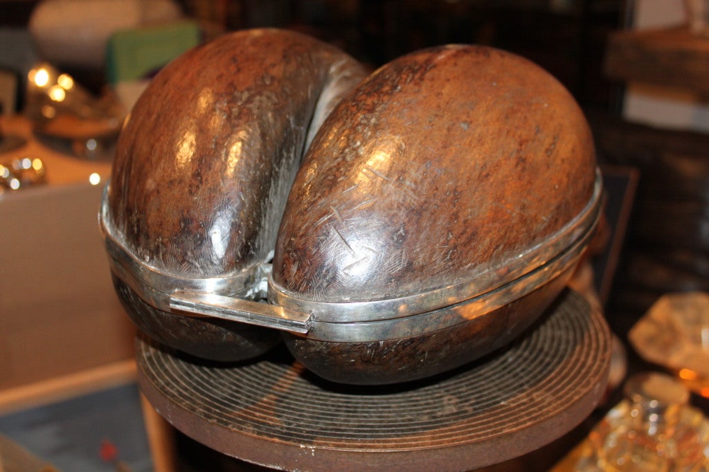 Seychellois Extremely Rare Coco De Mer Silver Mounted Box