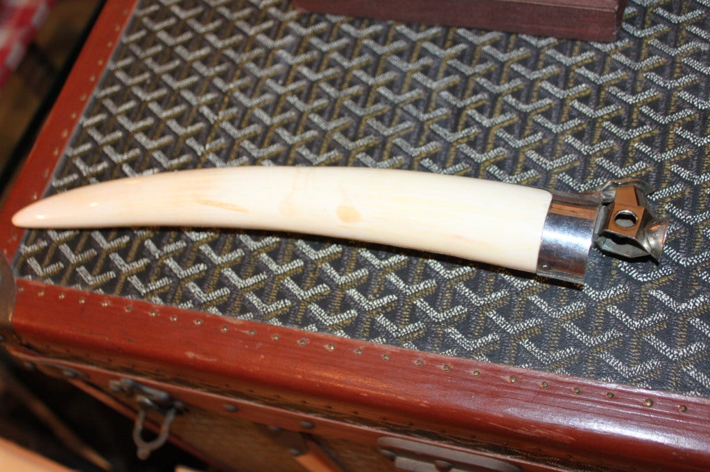 These are super rare and desirable. The tusk is Walrus ivory and this is the longest one of these we have ever heard of measuring 13 inches. . The cutter is all mounted in sterling silver. The nice thing about this cutter is the fact that it has 2