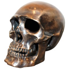 Life Size Bronze Skull Italian 1960