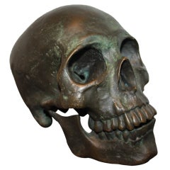 Early  20th Century American School Life Size Bronze Skull