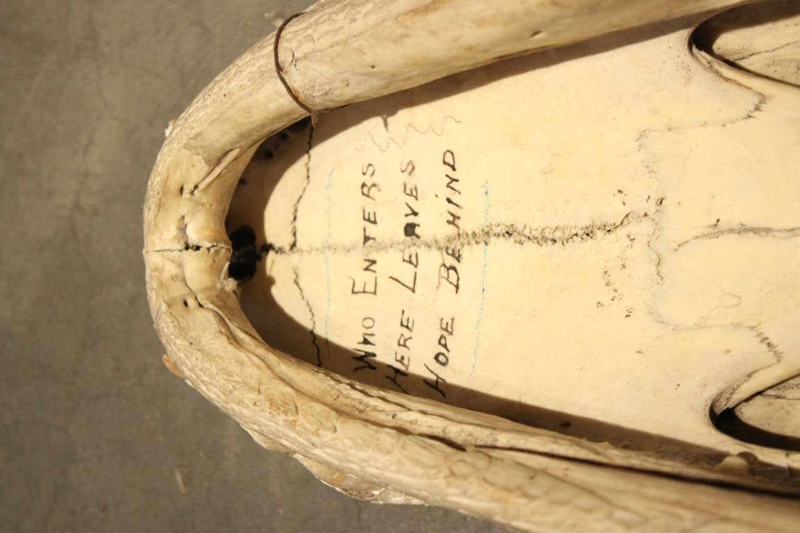 Bone A Cool Crocodile or Alligator Skull on Custom Stand with inscription For Sale