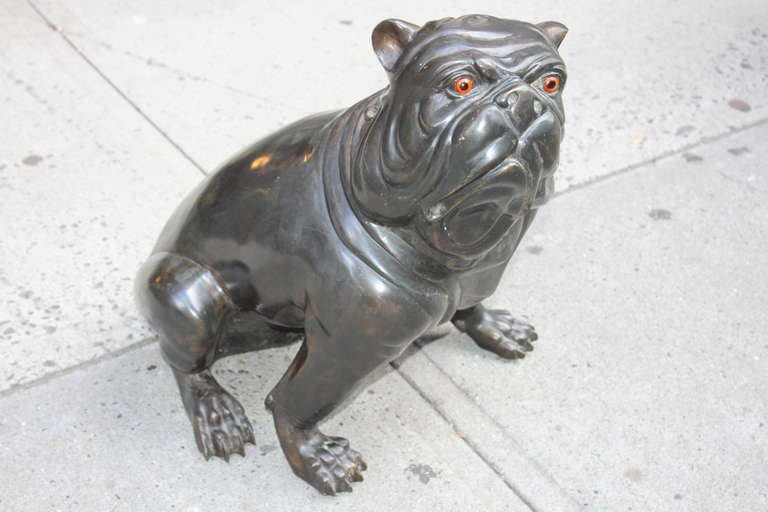 This amazing Bronze sculpture has glass eyes and amazing life like detail. It was made in France in the 1950's. It so difficult to find great Bull dog items and this is the best