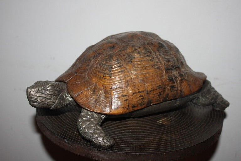 Raro e insolito Gabriella Crespi  Turtle Box