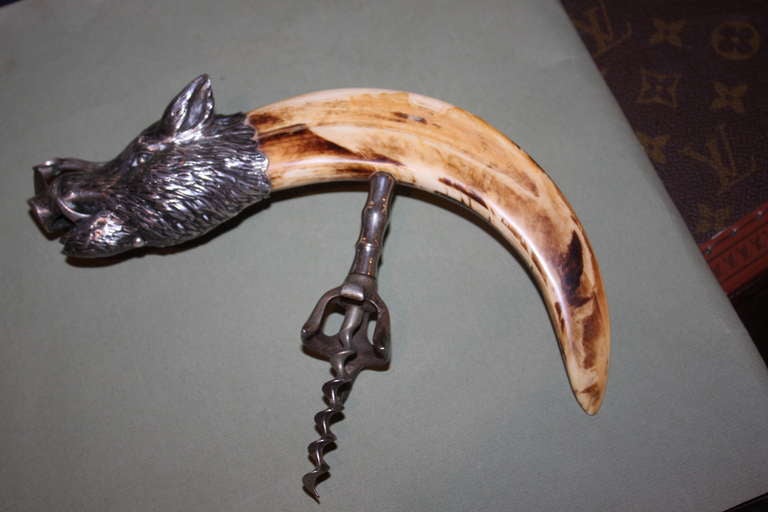 This is a super rare combination corkscrew and cigar cutter . The Sterling boars head has a concealed cigar cutter in the snout. Its activated with a push of a button. The tooth is that of a boar . These are typically cutters only. This model is a