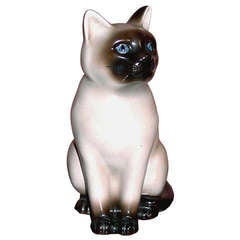 Cat by Fornasetti
