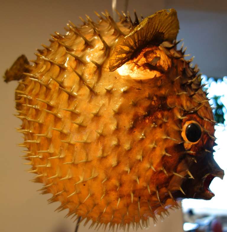 American Giant Vintage Puffer Fish Chandelier