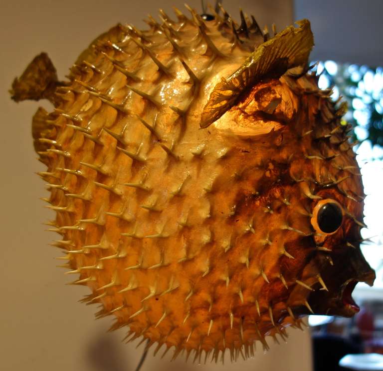 Giant Vintage Puffer Fish Chandelier 2